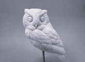 Guge - Study Cast Screech Owl (full size)  #74-118