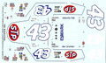 #43 STP 1981 Richard Petty 1/24