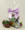 Violets, Milk Chocolate - Petite Bag/Party Favor