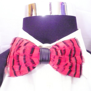 FEATHER  BOW TIE 2