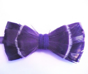 FEATHER  BOW TIE 31