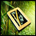 Bamboo
