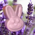 Lullaby Lavender