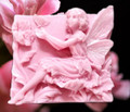 Fairy Flowers ~ Carnation