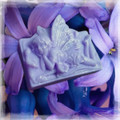 Fairy Flowers ~ Hyacinth