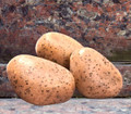 Granite 