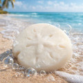 Sand Dollar