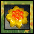 Citrus Flower