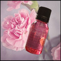 Carnation Perfume