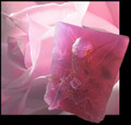 Fairy Flowers ~ Fairy Rose