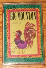 BIG MOUNTAIN - Wake Up