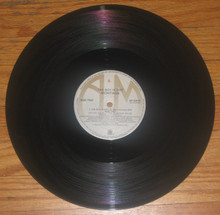 MONTAGE - The Boy Is Hot   12"