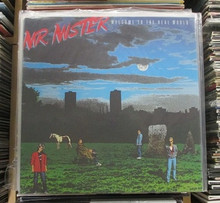 MR. MISTER - Welcome To The Real World