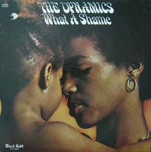 DYNAMICS - What A Shame