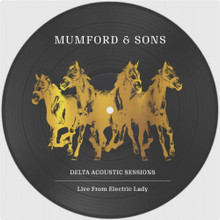 MUMFORD & SONS - Delta Accoustic Sessions