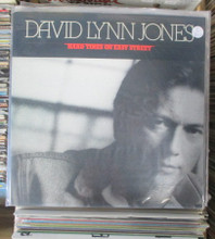JONES, DAVID LYNN - Hard Times On Easy Street