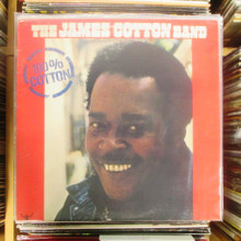 COTTON, JAMES BAND - 100% Cotton