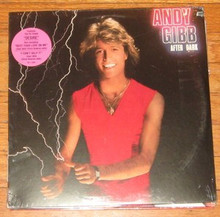 GIBB, ANDY - After Dark 