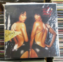 A TASTE OF HONEY - Golden Honey