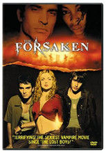 Sean (Kerr Smith) is driving cross-country to deliver a vintage Mercedes and attend his sister's wedding when he picks up a hitchhiker, Nick (Brendan Fehr), who just happens to be a vampire hunter, tracking down a group of youthful vampires that feed on unwary travelers. As the plot thickens, they run into Megan, (Isabella Miko) who has been left for dead by the vampires. As they use her as a lure for the vampires, Sean becomes attracted to her. Further complications ensue when Sean is infectedwith the vampire virus. He, Megan and Nick must race against time to kill the vampire leader (Jonathon Schaech) to stop Sean from becoming one of the undead.