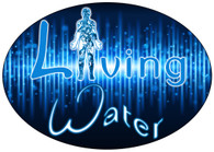 Living Waters patch (waterlines, pool ,spa)