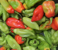 Red and Green Pimento peppers
