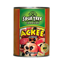 SPUR TREE ACKEE 19oz packaged in an aluminum can with Red and Green labeling 