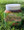 Lime Pepper Achar with Caraille