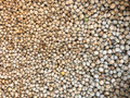 Pigeon Peas Dry (Sold by the Pound)