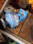 Goulds 3196 STX pump 1x1.5x6 316ss RM1110228