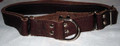 1" Chocolare Brown Leather Collar
