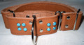 1 & 1/2" Tan Leather Collar with Tourquoise