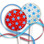 red lollipops, blue lollipops, star lollipops, fourth of July, Fourth of July lollipops, patriotic lollipops, ribbon lollipops, lollipop holder, party lollipops, picnic lollipops, July 4th, parade lollipops, vegan lollipops, natural lollipops, organic lollipops, graduation party, graduation lollipops, graduation party lollipops