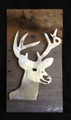 Buck Deer Head