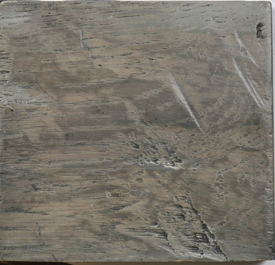 Oak Sample #325