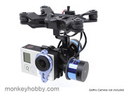 Tarot 2 Axis Brushless Gimbal For Gopro TL68A00