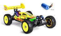1:8 BSD Racing / RED CAT BS809T Racing High Speed Buggy Brushless RTR