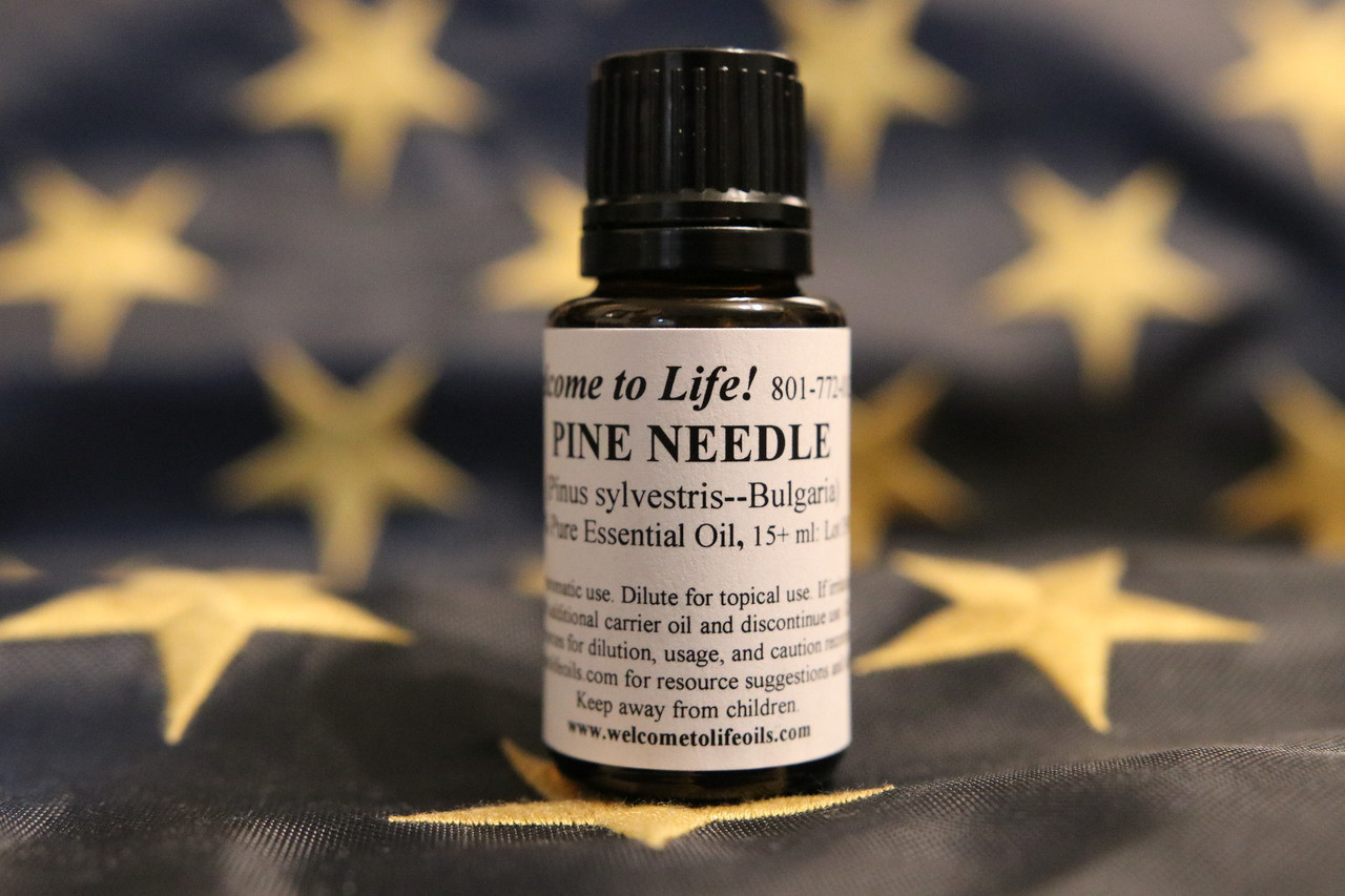 Pine Needle Essential Oil, 100% Pure Essential Oil, 15 ml ...