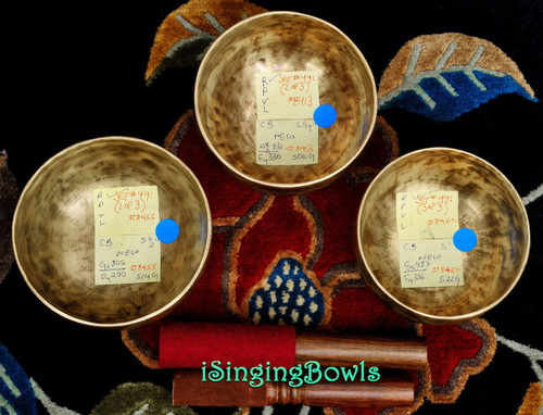 Tibetan Singing Bowl Set #44