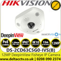 Hikvision 12MP DeepinView Immervision Lens Fisheye Network PoE Camera - DS-2CD63C5G0-IVS(B) (1.29mm)
