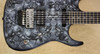Charvel USA Custom Shop Dokken Jon Levin Signature Guitar