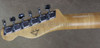Fender Custom Shop Masterbuilt 1960's Relic Thinline Telecaster Guitar
