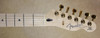Fender Ritchie Kotzen Signature Tele Telecaster Guitar