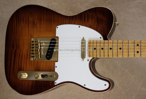 Fender Select Telecaster Tele Violin Burst Guitar Gold Hardware