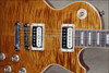 Gibson USA Les Paul AFD Appetite for Destruction Slash Guitar