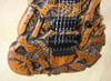 Jackson Custom Shop USA SL2H Mike Learn Carved Skulls Guitar
