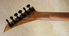 Jackson Custom Shop USA SL2H Mike Learn Carved Skulls Guitar