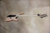 Jackson USA Custom Shop Koa Ebony Arch Top Soloist Electric Guitar