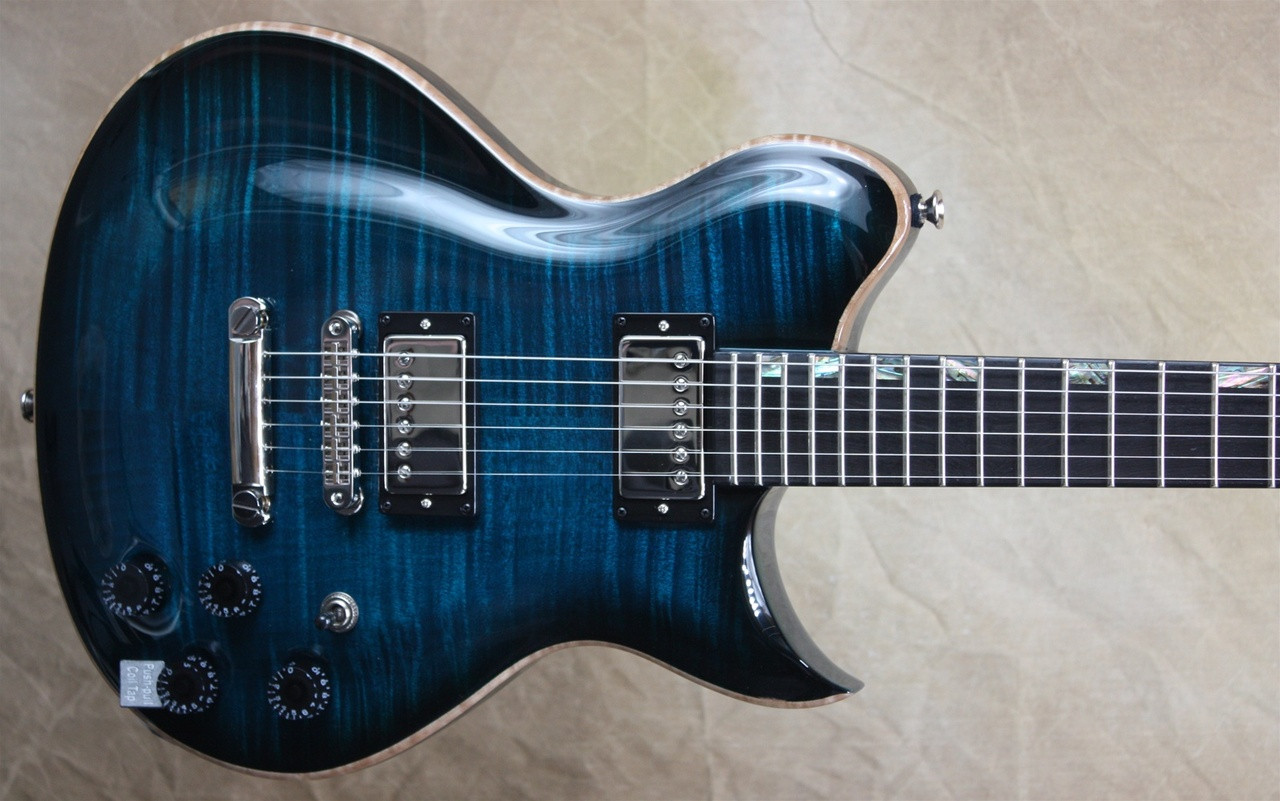 washburn custom shop