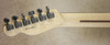 Fender Limited Edition 10 for '15 American Standard Tele HH Telecaster